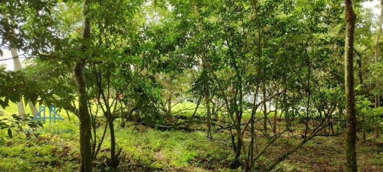 Imagem Terreno à Venda, 471 m² em Córrego Grande - Florianópolis