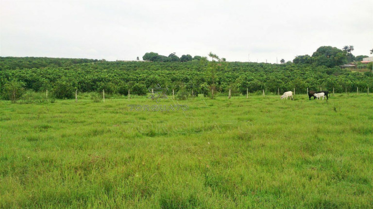 Imagem Terreno à Venda, 72.600 m² em Centro - Conchal