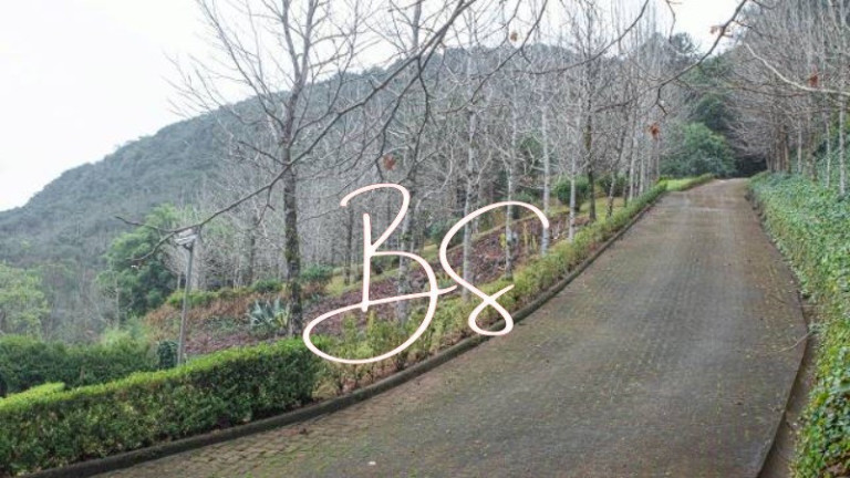 Imagem Imóvel com 2 Quartos à Venda, em Linha Bonita - Gramado Imagem Imóvel com 2 Quartos à Venda, em Linha Bonita - Gramado