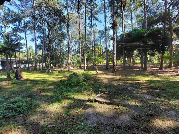 Imagem Imóvel com 3 Quartos à Venda, em São Fernando - Itanhaém Imagem Imóvel com 3 Quartos à Venda, em São Fernando - Itanhaém