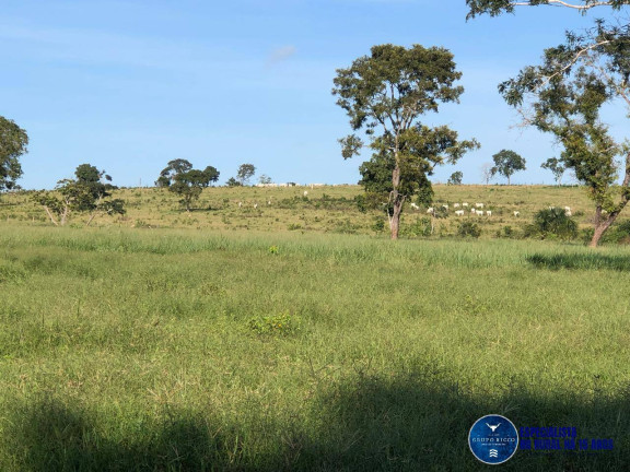 Imagem Fazenda à Venda, 166 m² em Zona Rural - Torixoréu Imagem Fazenda à Venda, 166 m² em Zona Rural - Torixoréu