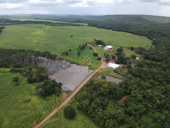 Imagem Imóvel com 7 Quartos à Venda, 1.822 m² em Zona Rural - Primavera Do Leste Imagem Imóvel com 7 Quartos à Venda, 1.822 m² em Zona Rural - Primavera Do Leste