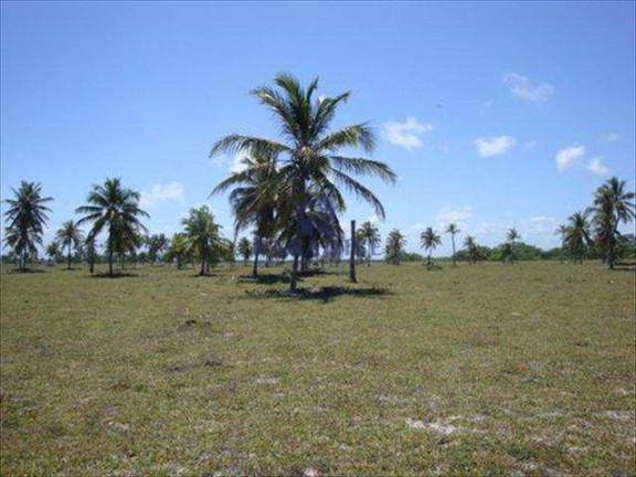 Imagem Terreno à Venda, 436.000 m² em Centro - Conde Imagem Terreno à Venda, 436.000 m² em Centro - Conde