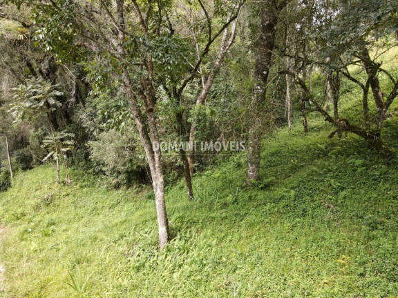 Imagem Terreno à Venda, 1.270 m² em Região Do Imbiri - Campos Do Jordão Imagem Terreno à Venda, 1.270 m² em Região Do Imbiri - Campos Do Jordão