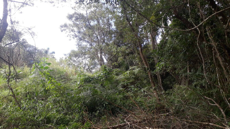 Imagem Terreno à Venda, 1.000 m² em Ortizes - Piedade Imagem Terreno à Venda, 1.000 m² em Ortizes - Piedade