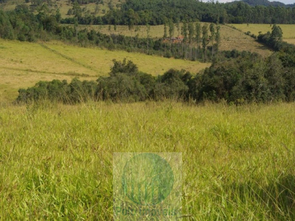 Imagem Imóvel com 3 Quartos à Venda, 302.500 m² em Zona Rural - Jacui