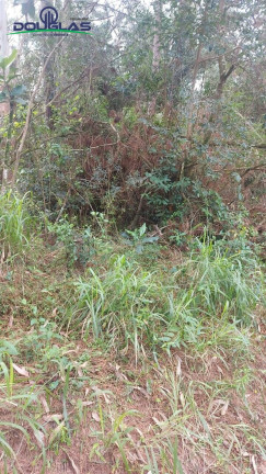 Imagem Terreno à Venda,  em águas Claras - Viamão