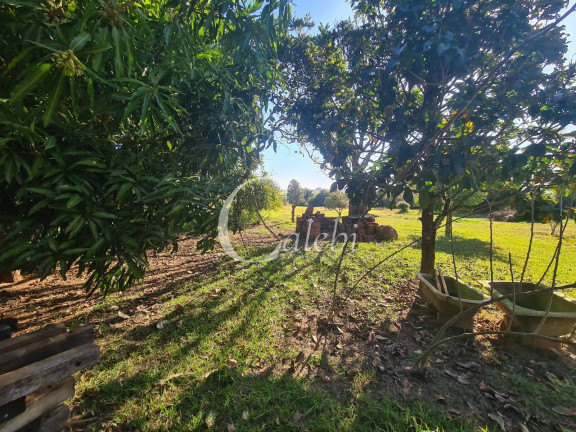 Imagem Chácara com 4 Quartos à Venda, 400 m² em área Rural De Mogi Mirim - Moji Mirim Imagem Chácara com 4 Quartos à Venda, 400 m² em área Rural De Mogi Mirim - Moji Mirim