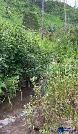 Imagem Fazenda à Venda, 45 m² em Zona Rural - São Félix Do Xingu Imagem Fazenda à Venda, 45 m² em Zona Rural - São Félix Do Xingu