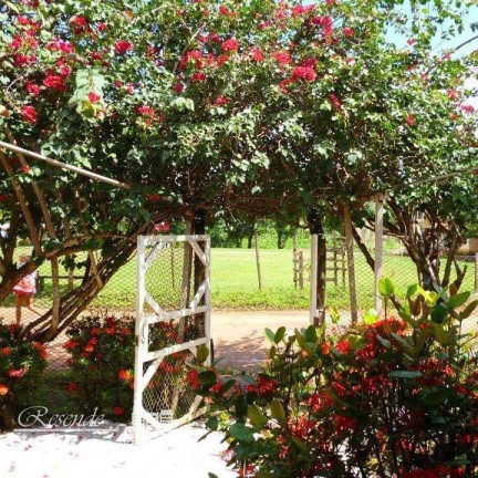 Imagem Casa com 4 Quartos à Venda, 3.120 m² em Cutijuba - Belém Imagem Casa com 4 Quartos à Venda, 3.120 m² em Cutijuba - Belém