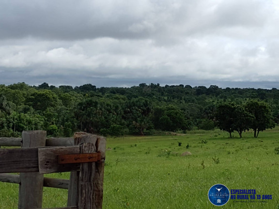 Imagem Fazenda à Venda, 40 m² em Zona Rural - Aragarças Imagem Fazenda à Venda, 40 m² em Zona Rural - Aragarças