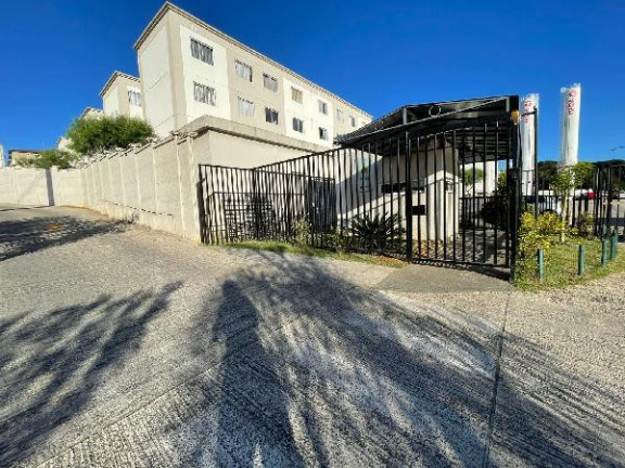 Apartamento com 2 Quartos à Venda, 38 m² em Colonia Rio Grande - Sao Jose Dos Pinhais