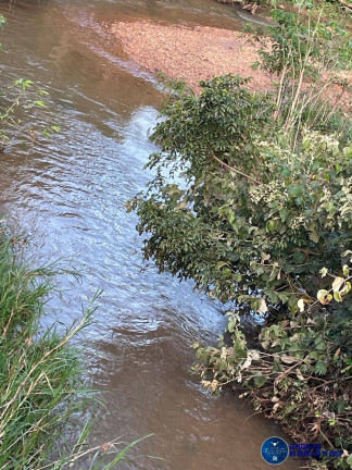 Imagem Chácara à Venda, 10 m² em Zona Rural - Goiás Imagem Chácara à Venda, 10 m² em Zona Rural - Goiás