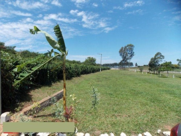 Imagem Imóvel com 2 Quartos à Venda, 42.350 m² em Sitio Novo - Artur Nogueira Imagem Imóvel com 2 Quartos à Venda, 42.350 m² em Sitio Novo - Artur Nogueira
