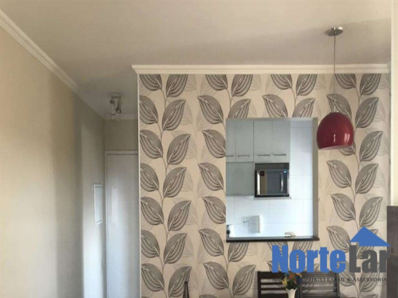 Imagem Apartamento com 2 Quartos à Venda, 50 m² em Vila Amélia - São Paulo Imagem Apartamento com 2 Quartos à Venda, 50 m² em Vila Amélia - São Paulo