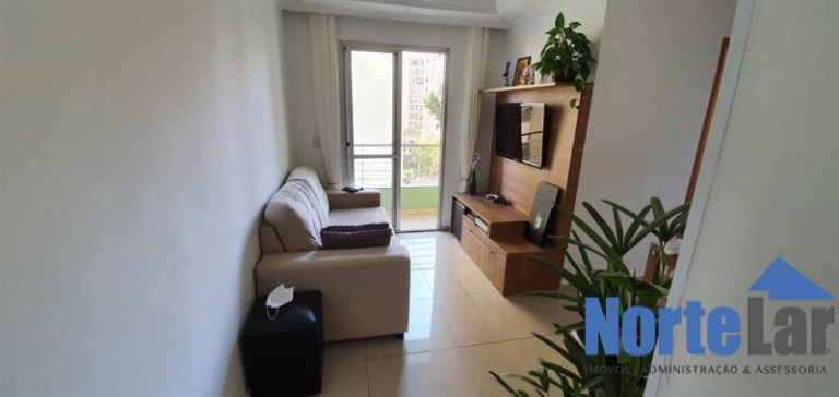Imagem Apartamento com 2 Quartos à Venda, 46 m² em Vila Amélia - São Paulo Imagem Apartamento com 2 Quartos à Venda, 46 m² em Vila Amélia - São Paulo