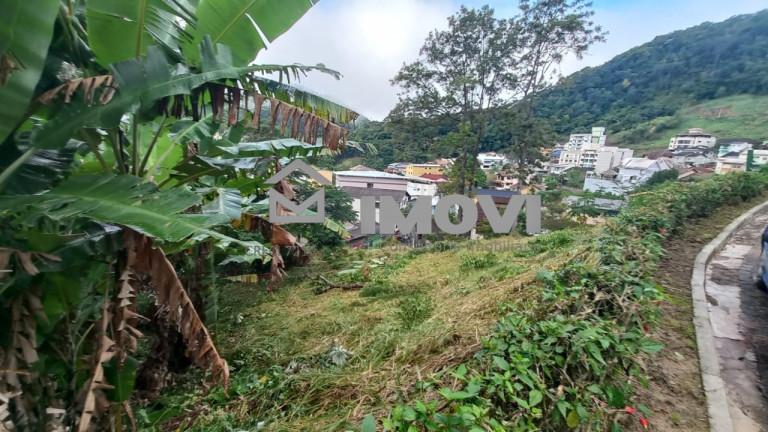 Imagem Terreno à Venda, 1.165 m² em Centro - Domingos Martins Imagem Terreno à Venda, 1.165 m² em Centro - Domingos Martins
