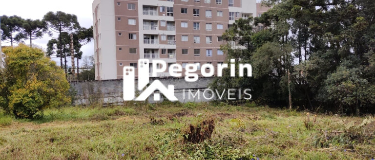 Imagem Terreno à Venda, 6.325 m² em Jardim Cláudia - Pinhais
