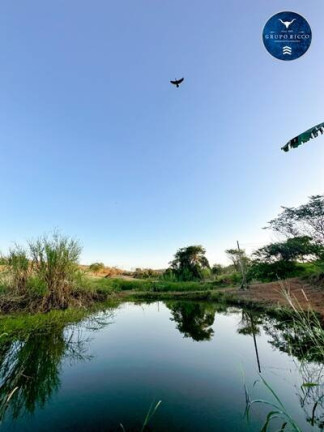 Imagem Chácara à Venda, 16 m² em Sítios De Recreio Dos Bandeirantes - Goiânia Imagem Chácara à Venda, 16 m² em Sítios De Recreio Dos Bandeirantes - Goiânia