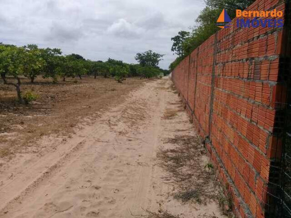 Imagem Chácara com 4 Quartos à Venda, 450 m² em Coqueiro Do Lagamar - Pindoretama Imagem Chácara com 4 Quartos à Venda, 450 m² em Coqueiro Do Lagamar - Pindoretama