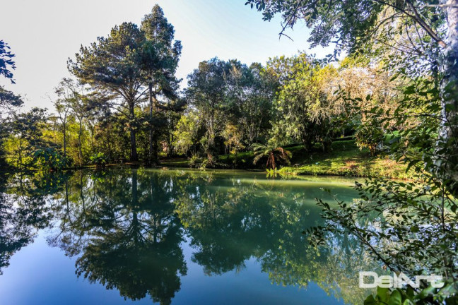 Imagem Chácara com 4 Quartos à Venda, 200 m² em área Rural - Mafra Imagem Chácara com 4 Quartos à Venda, 200 m² em área Rural - Mafra
