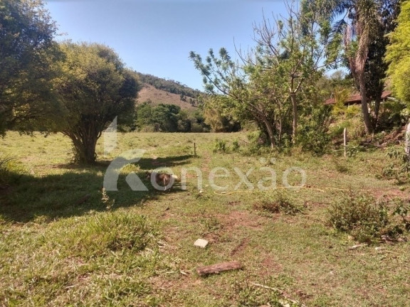 Imagem Fazenda à Venda, 100 m² em Monte Belo - Taubaté Imagem Fazenda à Venda, 100 m² em Monte Belo - Taubaté