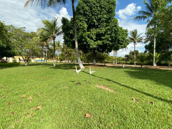 Imagem Imóvel com 4 Quartos à Venda, 30.500 m² em Cachoeira - Salvador