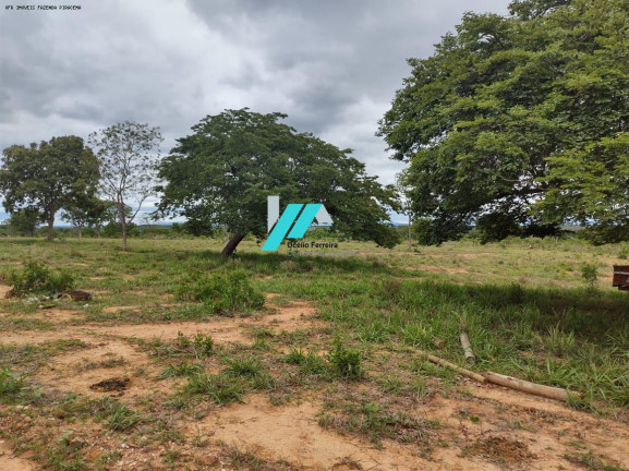 Imagem Fazenda à Venda, 82 m² em Zona Rural - Santo Hipólito Imagem Fazenda à Venda, 82 m² em Zona Rural - Santo Hipólito
