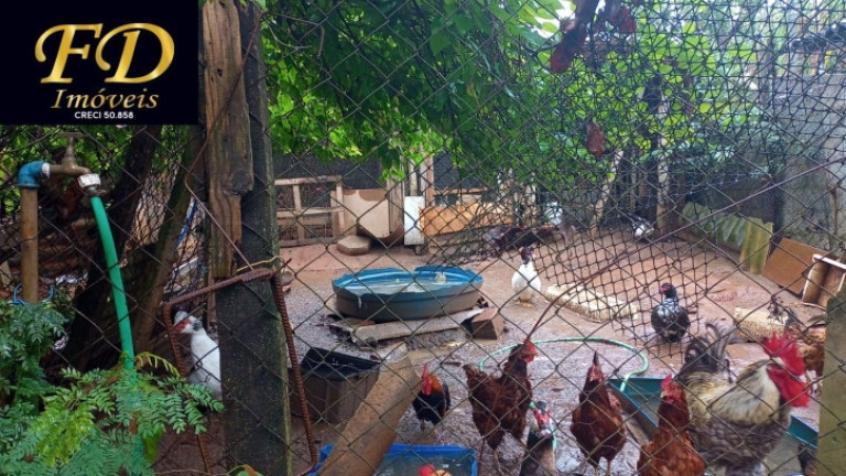 Imagem Casa com 2 Quartos à Venda, 500 m² em Jundiaizinho (terra Preta) - Mairiporã Imagem Casa com 2 Quartos à Venda, 500 m² em Jundiaizinho (terra Preta) - Mairiporã