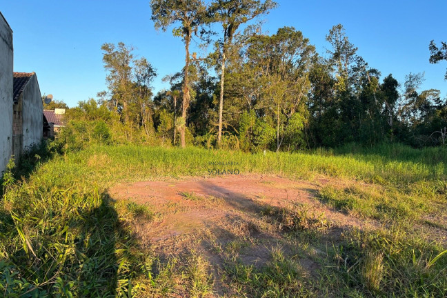 Imagem Terreno à Venda, 130 m² em Rio Gracioso - Itapoá