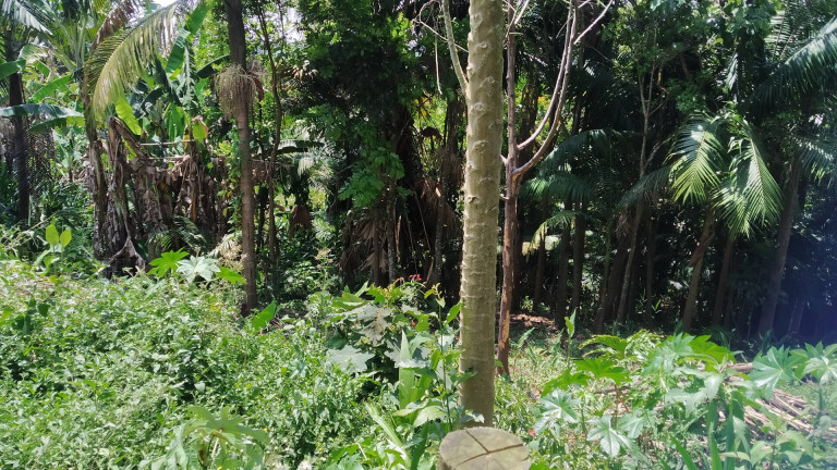 Imagem Terreno à Venda, 1.748 m² em Sete Praias - São Paulo Imagem Terreno à Venda, 1.748 m² em Sete Praias - São Paulo