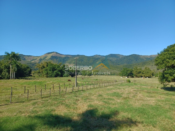 Imagem Imóvel com 8 Quartos à Venda, 6.000.000 m² em Gaviões - Silva Jardim Imagem Imóvel com 8 Quartos à Venda, 6.000.000 m² em Gaviões - Silva Jardim