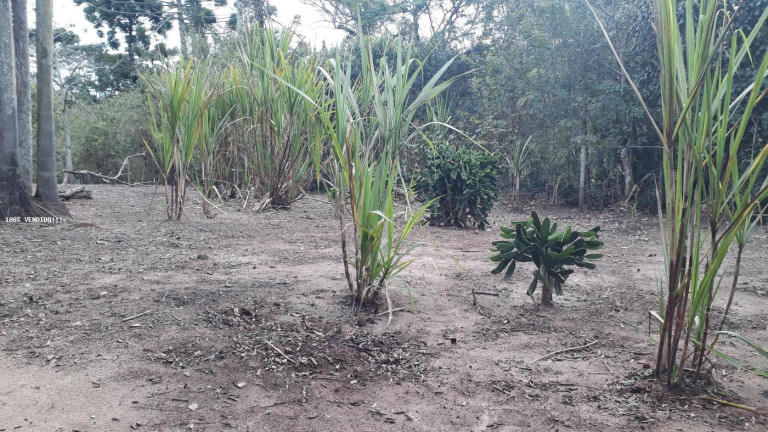 Imagem Imóvel à Venda, 500 m² em Vila Caputera - Mogi Das Cruzes