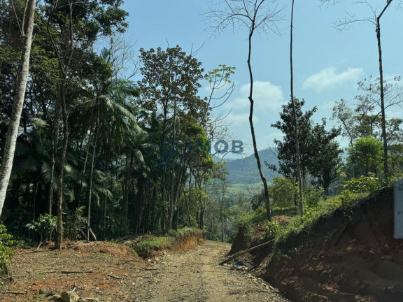 Imagem Chácara à Venda, 20.000 m² em Garibaldi - Jaraguá Do Sul Imagem Chácara à Venda, 20.000 m² em Garibaldi - Jaraguá Do Sul
