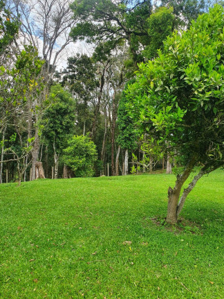 Imagem Imóvel com 4 Quartos à Venda, 38.704 m² em Chimboveiro - Mandirituba Imagem Imóvel com 4 Quartos à Venda, 38.704 m² em Chimboveiro - Mandirituba