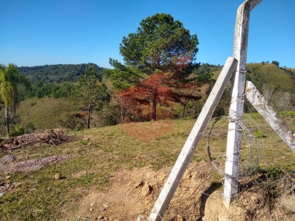 Imagem Chácara com 1 Quarto à Venda, 1 m² em Itambezinho - Campo Largo