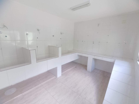 Imagem Casa com 5 Quartos para Alugar, 425 m² em Jaqueline - Belo Horizonte Imagem Casa com 5 Quartos para Alugar, 425 m² em Jaqueline - Belo Horizonte