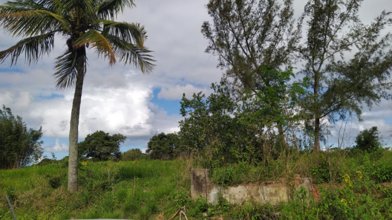 Imagem Imóvel à Venda, 80.000 m² em Centro - Araruama
