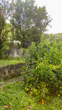 Imagem Casa com 4 Quartos à Venda, 350 m² em Várzea - Teresópolis Imagem Casa com 4 Quartos à Venda, 350 m² em Várzea - Teresópolis