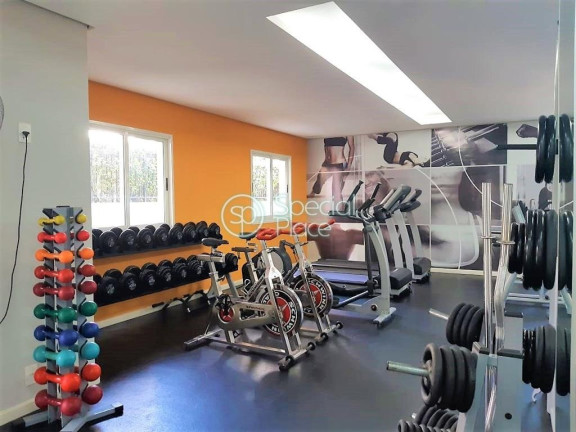 Imagem Apartamento com 3 Quartos à Venda, 105 m² em Moema Pássaros - São Paulo