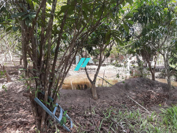 Imagem Fazenda à Venda, 5.000 m² em Zona Rural - Piracema Imagem Fazenda à Venda, 5.000 m² em Zona Rural - Piracema