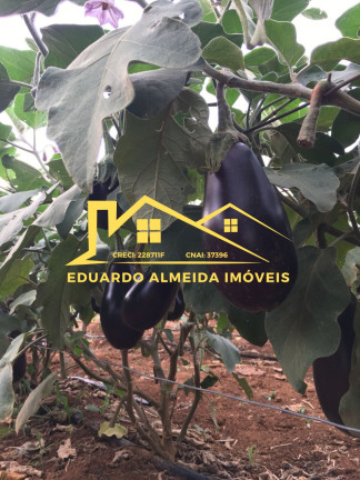 Imagem Imóvel com 2 Quartos à Venda, 2 m² em Centro - Gramadinho