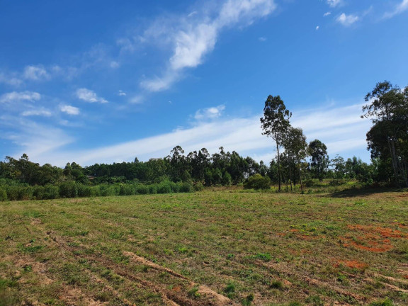 Imagem Chácara à Venda, 100 m² em Sanga Funda - Portão Imagem Chácara à Venda, 100 m² em Sanga Funda - Portão