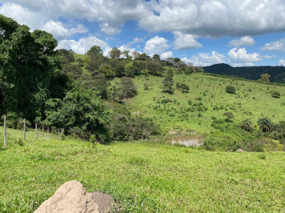 Imagem Terreno à Venda, 3 m² em Santa Terezinha De Minas - Itatiaiuçu Imagem Terreno à Venda, 3 m² em Santa Terezinha De Minas - Itatiaiuçu