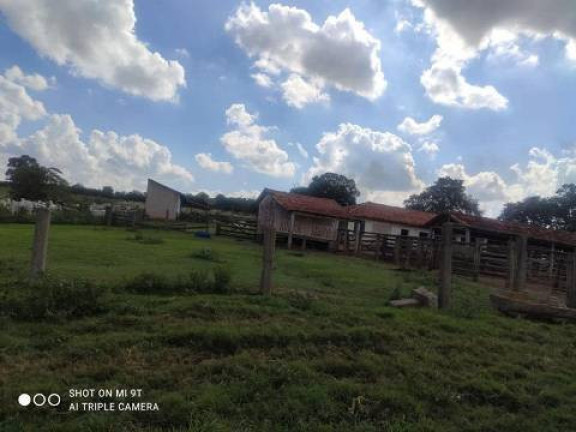 Imagem Chácara com 4 Quartos à Venda, 2.000 m² em Alambari