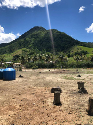 Imagem Chácara com 2 Quartos à Venda, 4 m² em Rio Bonito