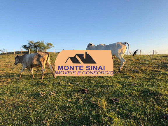 Imagem Chácara à Venda, 7 m² em Centro - Cesário Lange Imagem Chácara à Venda, 7 m² em Centro - Cesário Lange