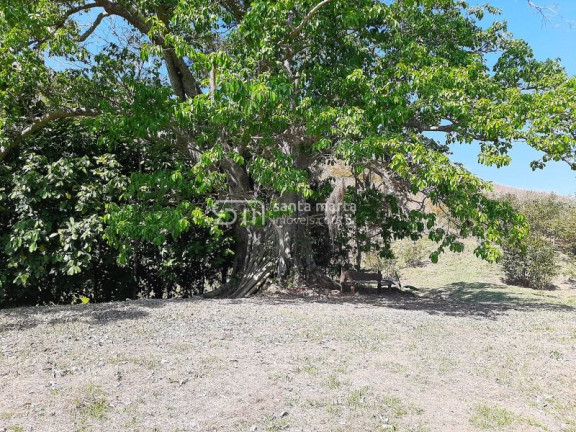 Imagem Imóvel com 2 Quartos à Venda, 1 m² em Bairro São José Do Retiro - Bananal Imagem Imóvel com 2 Quartos à Venda, 1 m² em Bairro São José Do Retiro - Bananal
