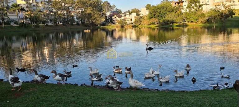 Imagem Casa com 5 Quartos à Venda, 628 m² em Parque Terra Nova Ii - São Bernardo Do Campo Imagem Casa com 5 Quartos à Venda, 628 m² em Parque Terra Nova Ii - São Bernardo Do Campo