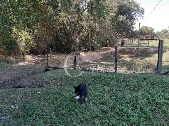 Imagem Chácara com 4 Quartos à Venda, 2 m² em área Rural De Mogi Mirim - Moji Mirim Imagem Chácara com 4 Quartos à Venda, 2 m² em área Rural De Mogi Mirim - Moji Mirim